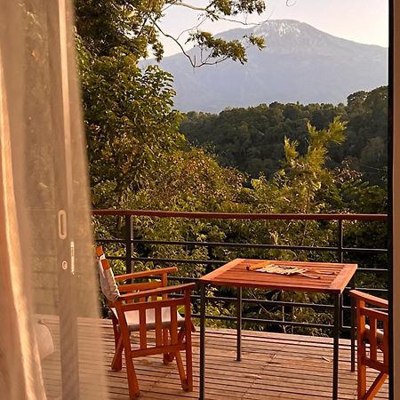 Kaliwa Lodge Moshi Exteriér fotografie