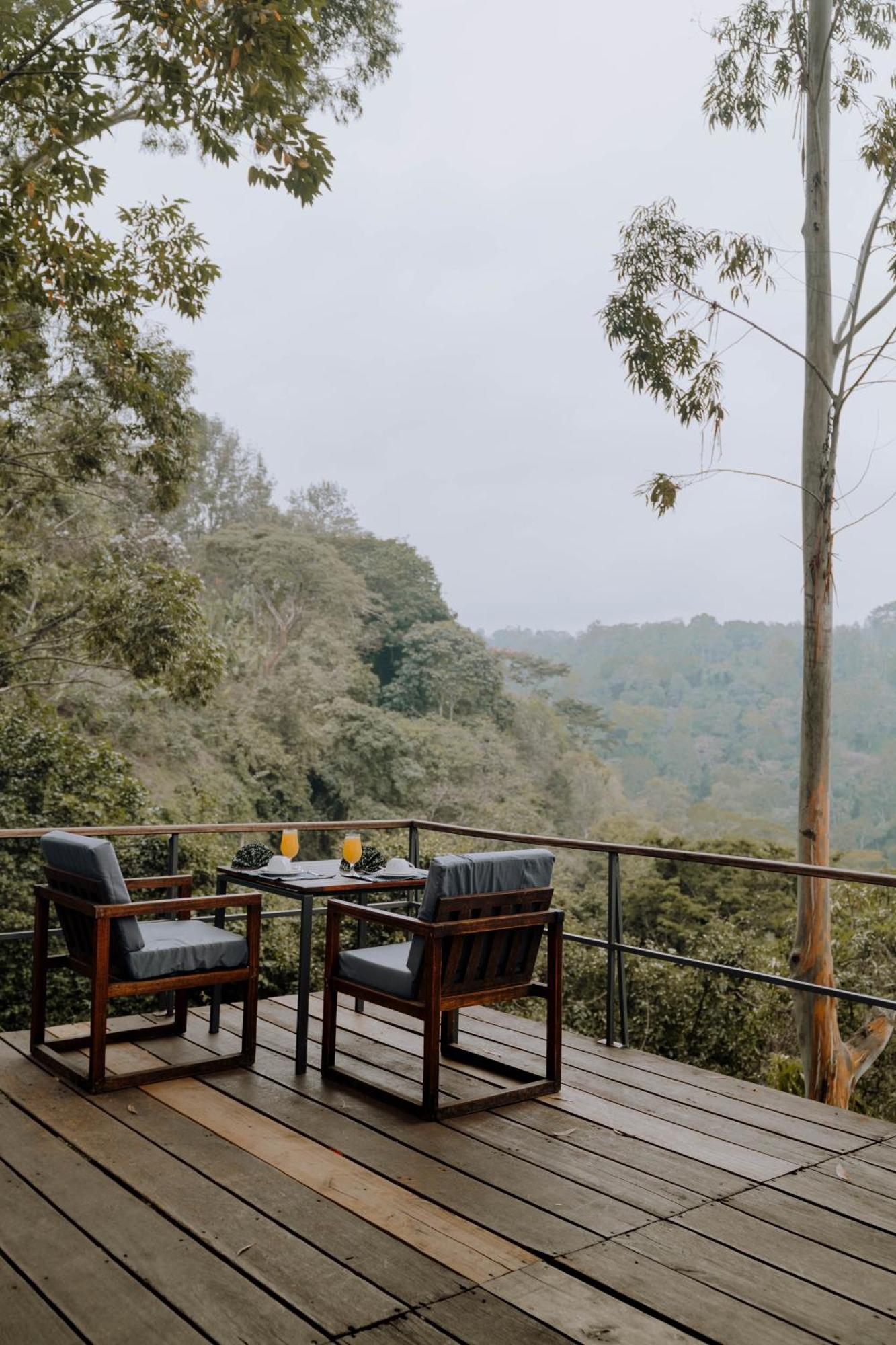 Kaliwa Lodge Moshi Exteriér fotografie
