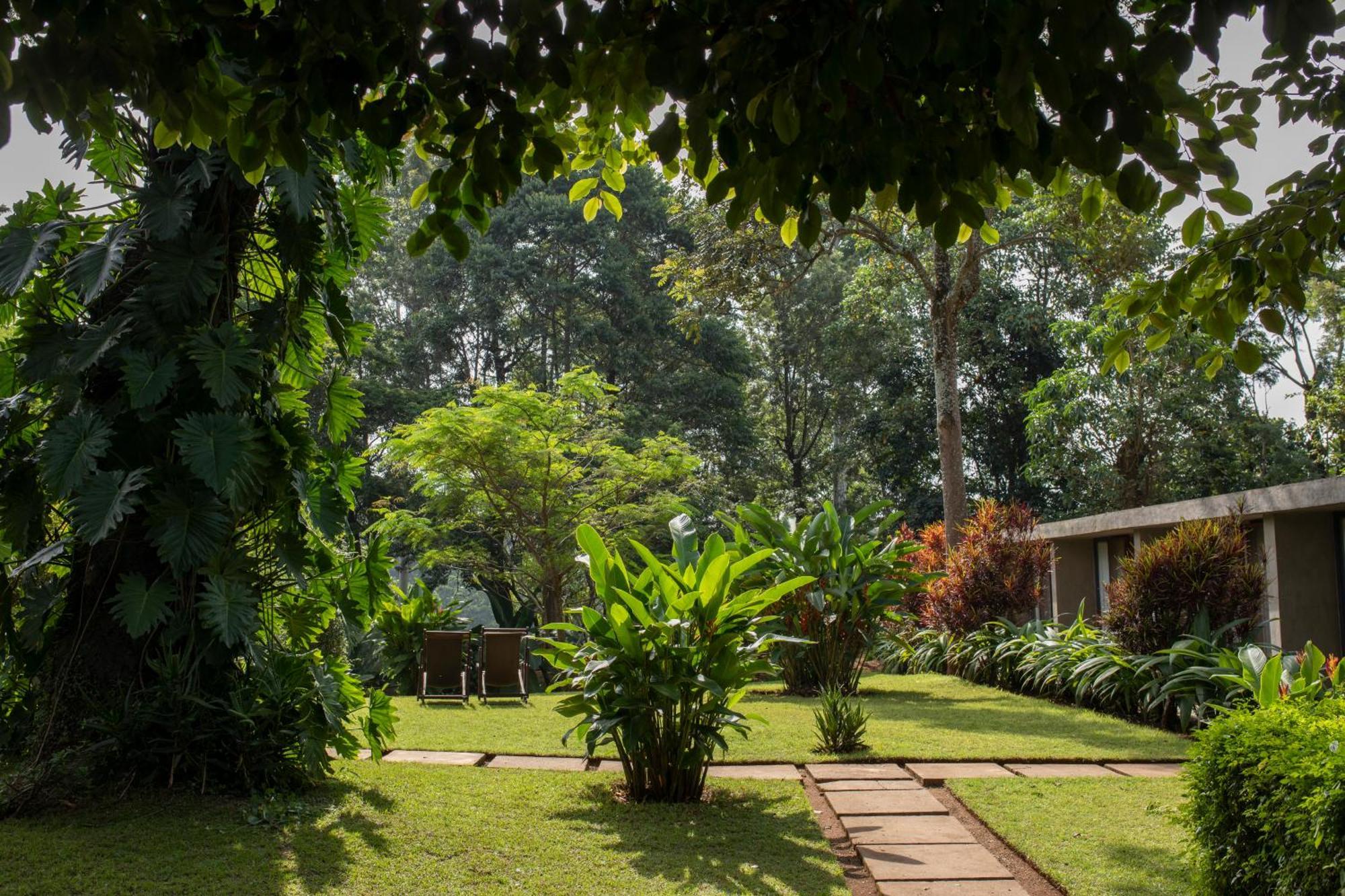 Kaliwa Lodge Moshi Exteriér fotografie