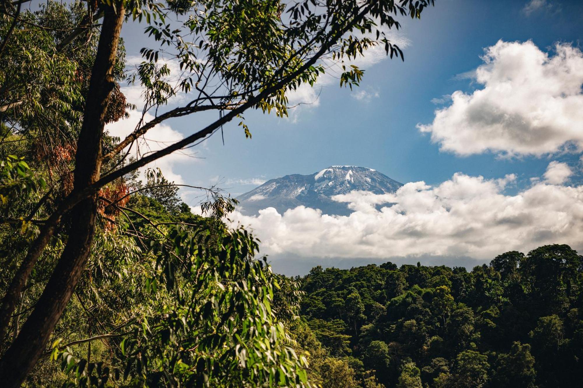 Kaliwa Lodge Moshi Exteriér fotografie